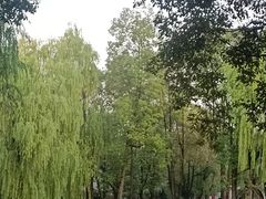 -四川大学(望江校区)