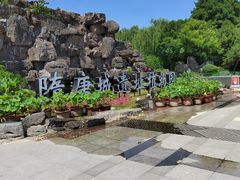 -洛阳市隋唐城遗址植物园