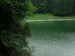 -武陵山森林公园