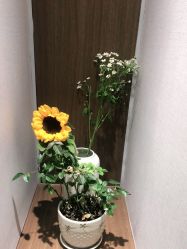 -如一·美甲美睫