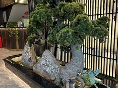 -聚鑫阁江浙菜·非遗传承技艺(闵行交大店)