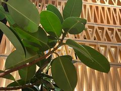 -一坐一忘云南菜(北京skp店)