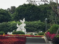 -金鸡山公园