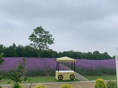 -同里国家湿地公园