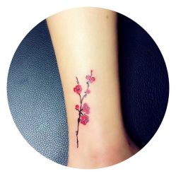 -明星刺青·洗纹身