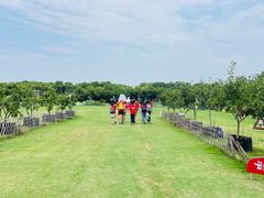 -大果情商(亲藤店)