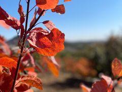 -白水寺森林公园