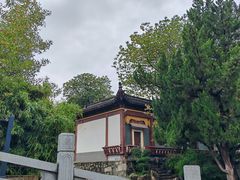 -莲湖公园