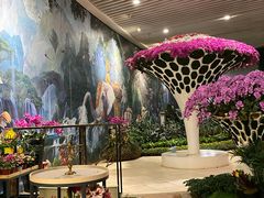 -花之城