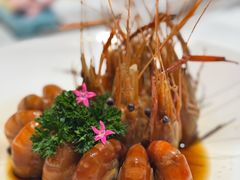 -阿露佳·舌尖上的安吉菜