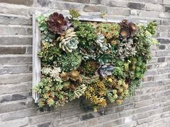 -廖老妈蹄花店(人民公园陕西街259号店)