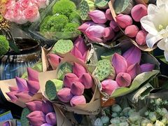 -溪岸路花鸟市场