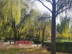 -玲珑塔公园