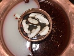 -老诚一锅羊蝎子(黄寺大街店)