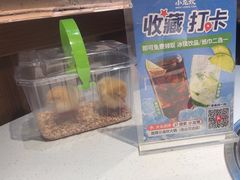 -小龙坎火锅(总店)