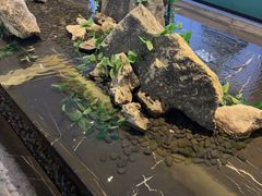 -三谷里·生态水疗空间(五一店)