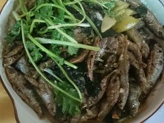 -幽优农庄·森波拉特色本地农家菜