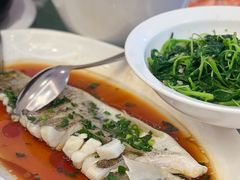海鲈鱼-大方圆酒楼(西门大街店)