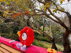 -云溪植物园
