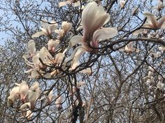 -皇家美孚(海云庵店)