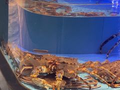 -阿伟海鲜楼·福建菜(延寿店)