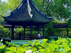 -上海醉白池公园