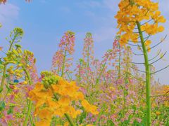 -中国天府农业博览园