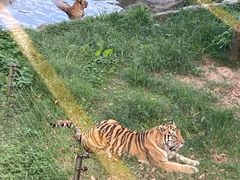 -深圳野生动物园