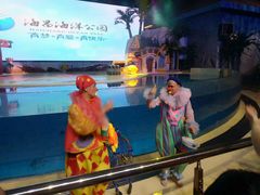 -三亚海昌梦幻海洋不夜城