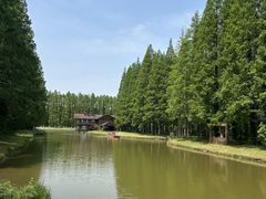 -黄海国家森林公园