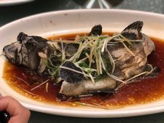 清蒸海石斑-南海渔村(珠江新城店)