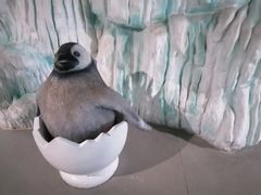 -杭州长乔极地海洋公园