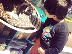 -小时光咖啡馆(开森度假森林店)