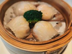 -悦景酒家(罗湖店)