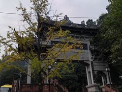 -凤栖山