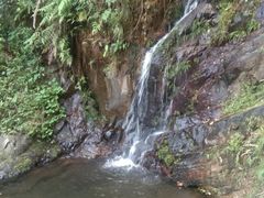 -羚羊峡古栈道森林公园