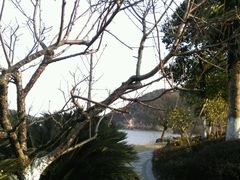 android_upload_pic-宁波九龙湖开元度假村