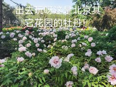 -国家植物园