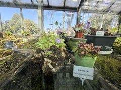 -国家植物园南园