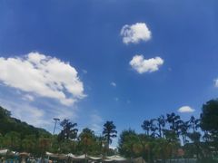 -重庆海昌加勒比海水世界