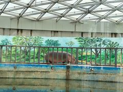 -太原动物园
