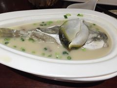 河豚各吃-味茂·老船夫1927(东海东路店)