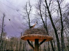 -哈尔滨北方森林动物园