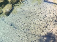 -白云源风景区
