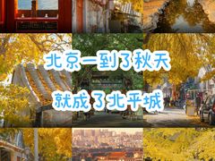 -北京国子监胡同