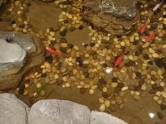 -长春宾馆·丽豪浴都