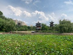 -迎泽公园