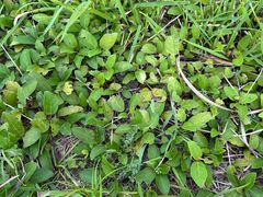 -金堂县云顶石城风景区