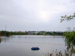 -上海长兴岛郊野公园