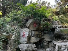 -玲珑塔公园